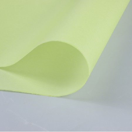 YZYL0010